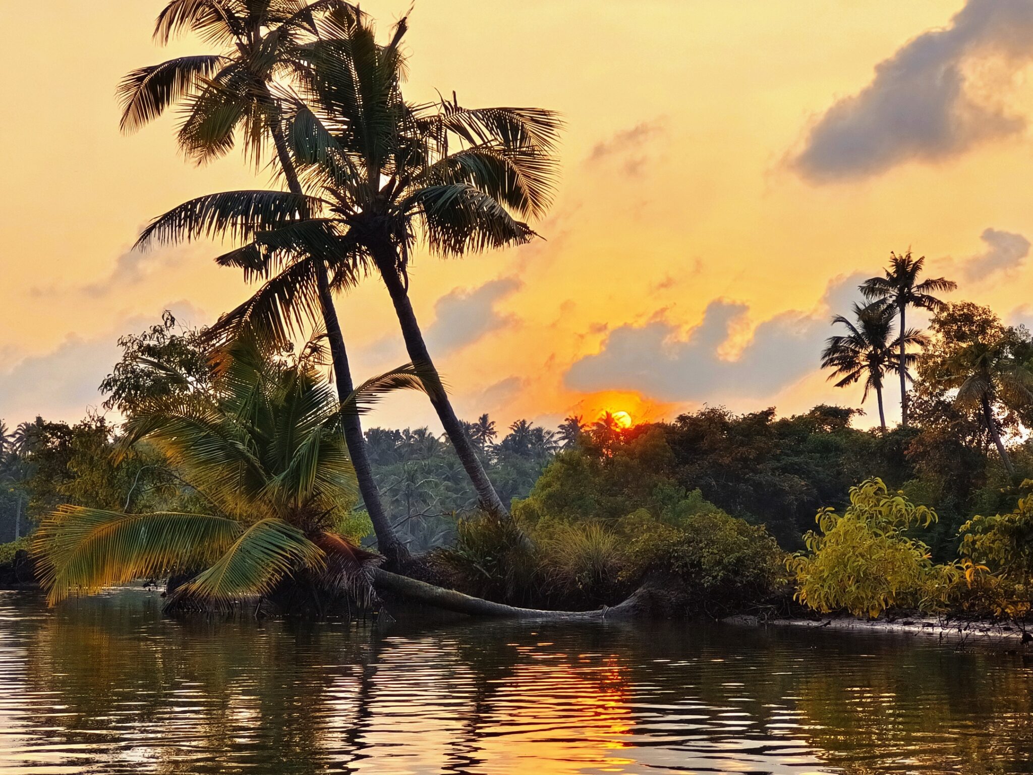Kayaking in Varkala Shiva Kayaking Experience Kayaking, Stand Up Paddle & Boating in Varkala
