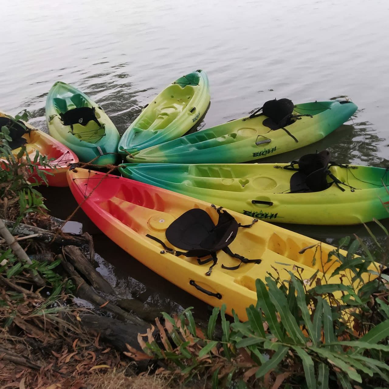 Kayaking in Varkala Shiva Kayaking Experience Kayaking, Stand Up